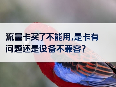 流量卡买了不能用，是卡有问题还是设备不兼容？