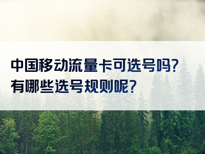 中国移动流量卡可选号吗？有哪些选号规则呢？