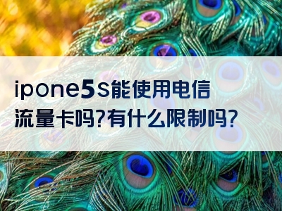 ipone5s能使用电信流量卡吗？有什么限制吗？