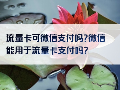 流量卡可微信支付吗？微信能用于流量卡支付吗？