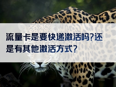 流量卡是要快递激活吗？还是有其他激活方式？