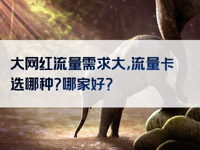 大网红流量需求大，流量卡选哪种？哪家好？