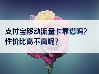 支付宝移动流量卡靠谱吗？性价比高不高呢？