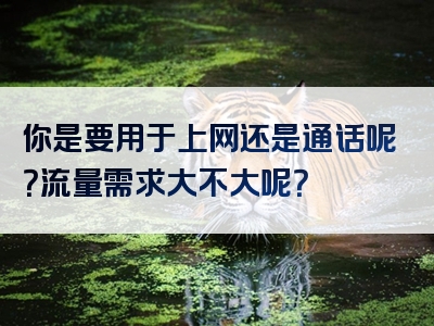 你是要用于上网还是通话呢？流量需求大不大呢？