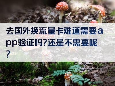 去国外换流量卡难道需要app验证吗？还是不需要呢？