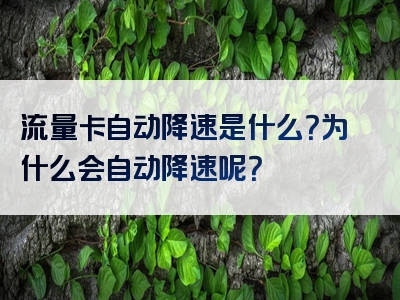 流量卡自动降速是什么？为什么会自动降速呢？