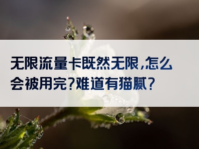 无限流量卡既然无限，怎么会被用完？难道有猫腻？