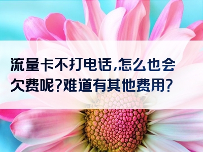 流量卡不打电话，怎么也会欠费呢？难道有其他费用？