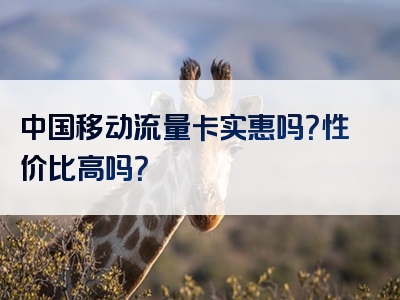 中国移动流量卡实惠吗？性价比高吗？