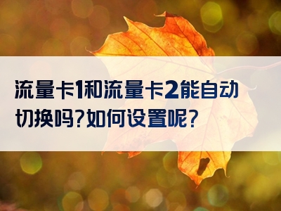 流量卡1和流量卡2能自动切换吗？如何设置呢？