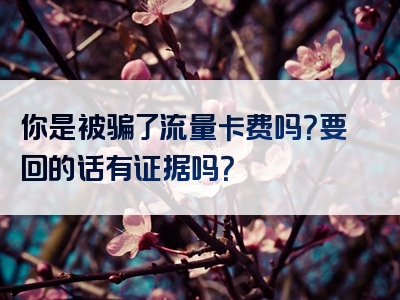 你是被骗了流量卡费吗？要回的话有证据吗？