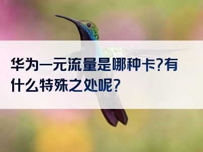 华为一元流量是哪种卡？有什么特殊之处呢？