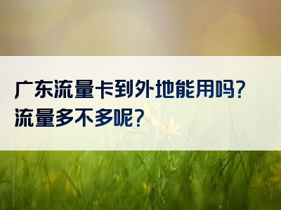 广东流量卡到外地能用吗？流量多不多呢？