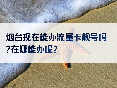 烟台现在能办流量卡靓号吗？在哪能办呢？