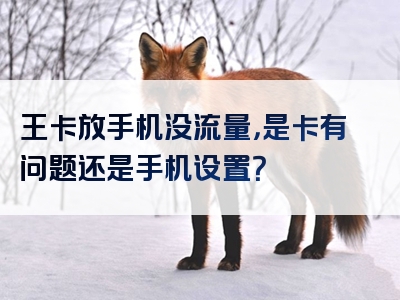 王卡放手机没流量，是卡有问题还是手机设置？