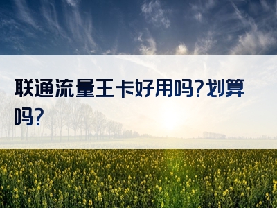联通流量王卡好用吗？划算吗？