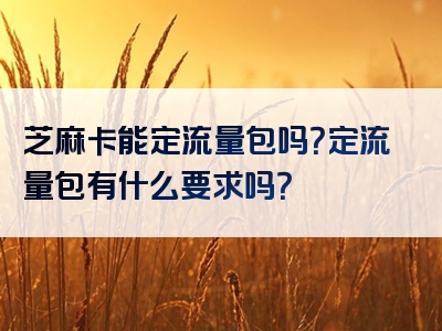 芝麻卡能定流量包吗？定流量包有什么要求吗？