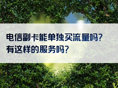 电信副卡能单独买流量吗？有这样的服务吗？
