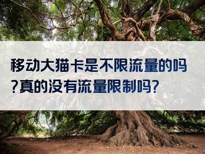 移动大猫卡是不限流量的吗？真的没有流量限制吗？