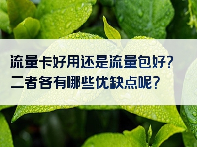流量卡好用还是流量包好？二者各有哪些优缺点呢？