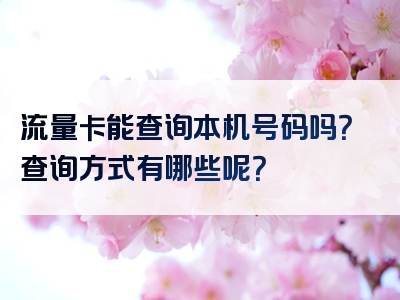 流量卡能查询本机号码吗？查询方式有哪些呢？
