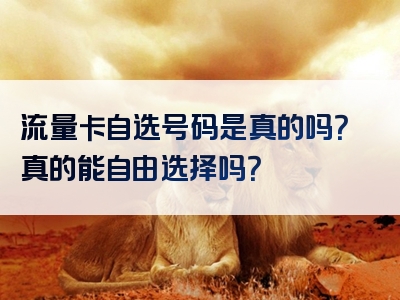 流量卡自选号码是真的吗？真的能自由选择吗？