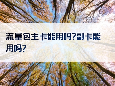 流量包主卡能用吗？副卡能用吗？