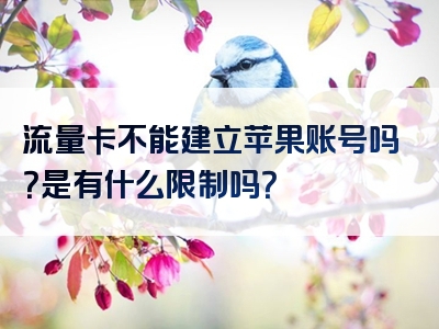 流量卡不能建立苹果账号吗？是有什么限制吗？